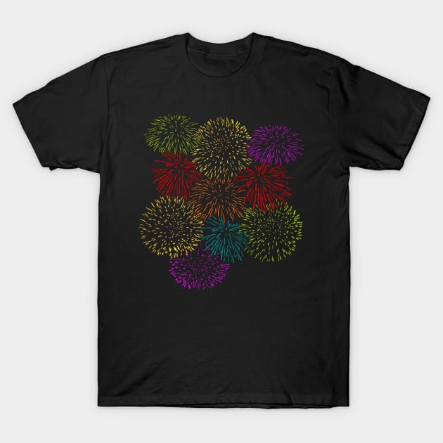 Fireworks Celebration T-Shirt by Killer Rabbit Designs